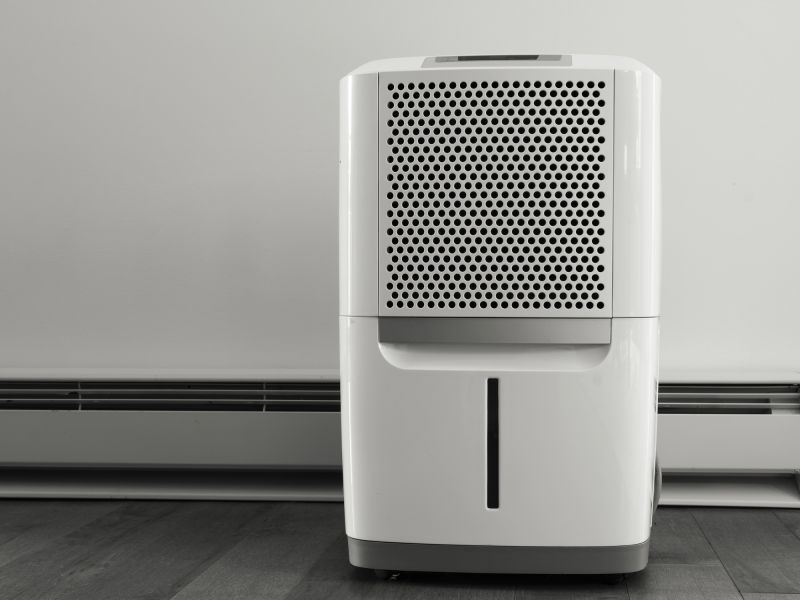 Basement Dehumidifier Service in Annapolis, MD