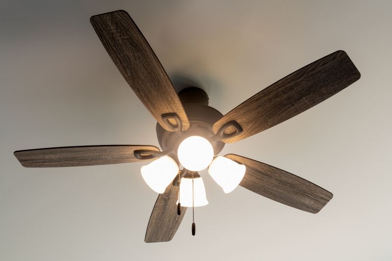 Ceiling Fan Replacement in Conroe, TX